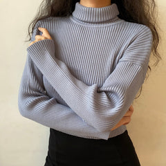 Minimalist Lifestyle Knit Turtleneck Sweater
