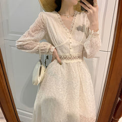Elegant Embroidered Mesh Dress