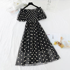 Fairycore Embroidery Mesh Dress