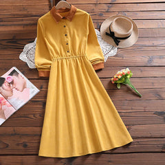 Autumnal Glow Shirt Dress
