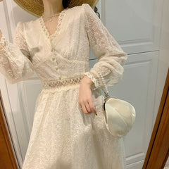 Elegant Embroidered Mesh Dress