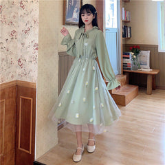 Floral Embroidery Elegant Dress