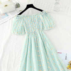 Fairycore Embroidery Mesh Dress