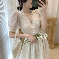 Elegant Embroidered Mesh Dress
