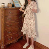 Cottagecore V-neck Fairy Dress