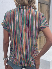 Multicolored Stripe Notched Neck Blouse