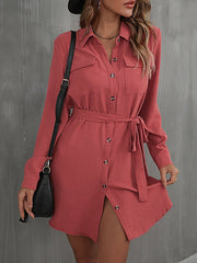Commuter Lapel Lace Solid Mini Dress