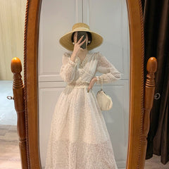 Elegant Embroidered Mesh Dress
