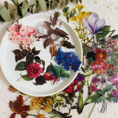 40pcs/pack Vintage Flower Illustration Stickers