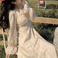 Chic Mesh Embroidery Midi Dress
