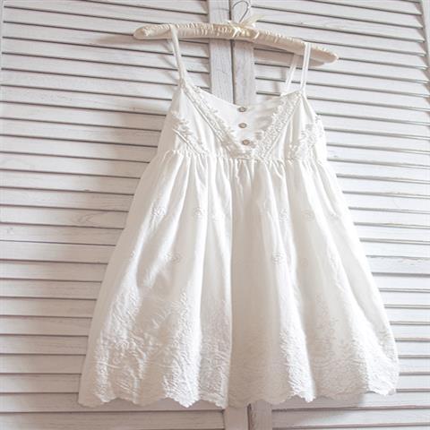 Embroidered Cotton Lace Dress
