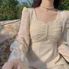 Chic Mesh Embroidery Midi Dress